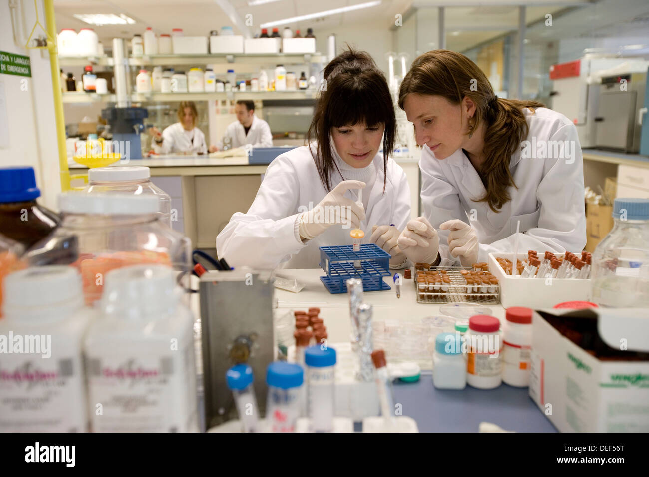 Biological test laboratory. Fundacion Inasmet-Tecnalia. Donostia, San Sebastian, Euskadi. Spain. Stock Photo