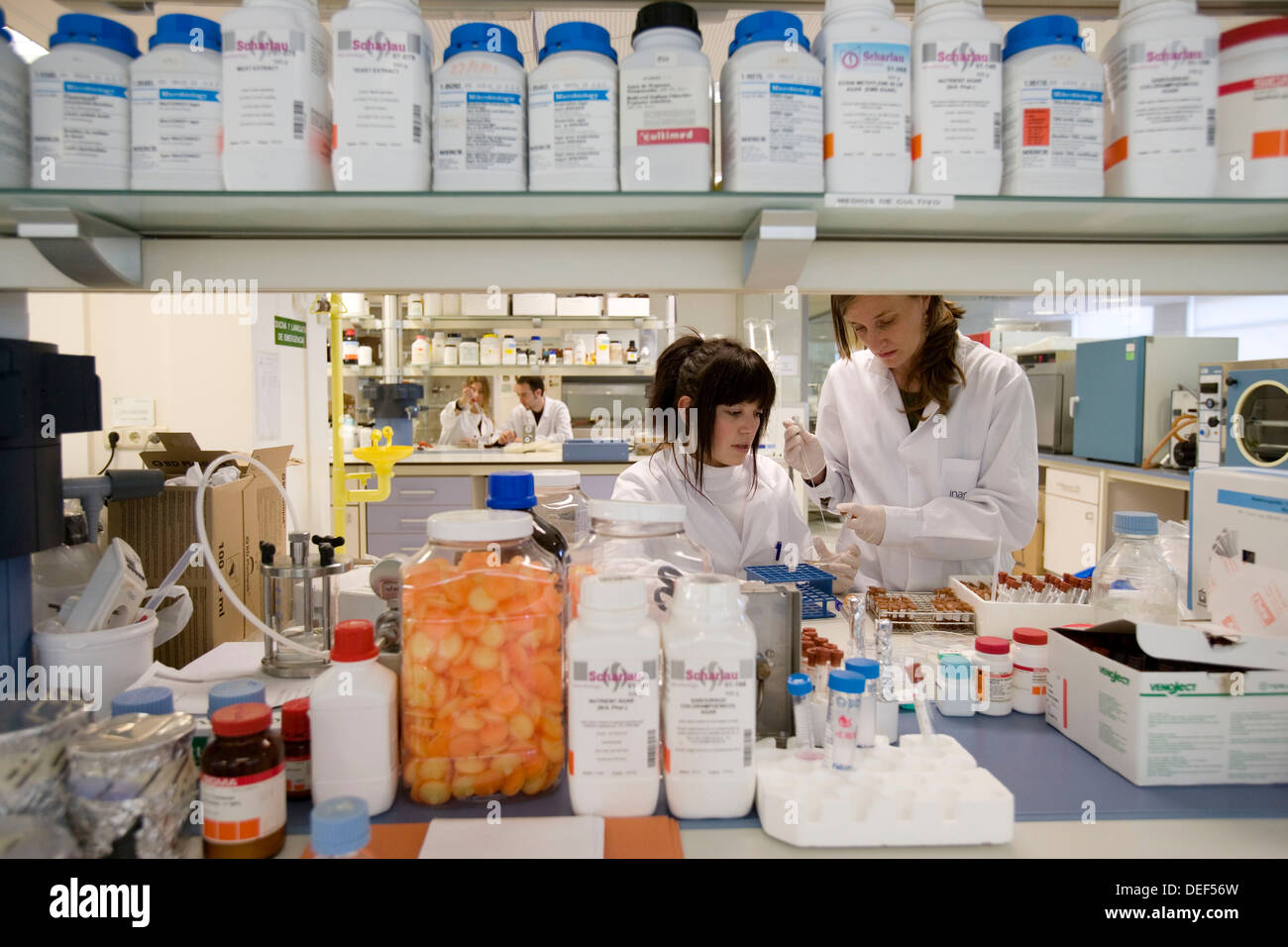 Biological test laboratory. Fundacion InasmetTecnalia. Donostia, San Sebastian, Euskadi. Spain