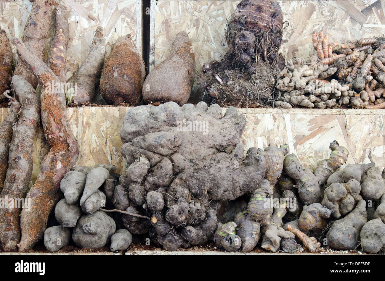 Food fair hi-res stock photography and images - Alamy