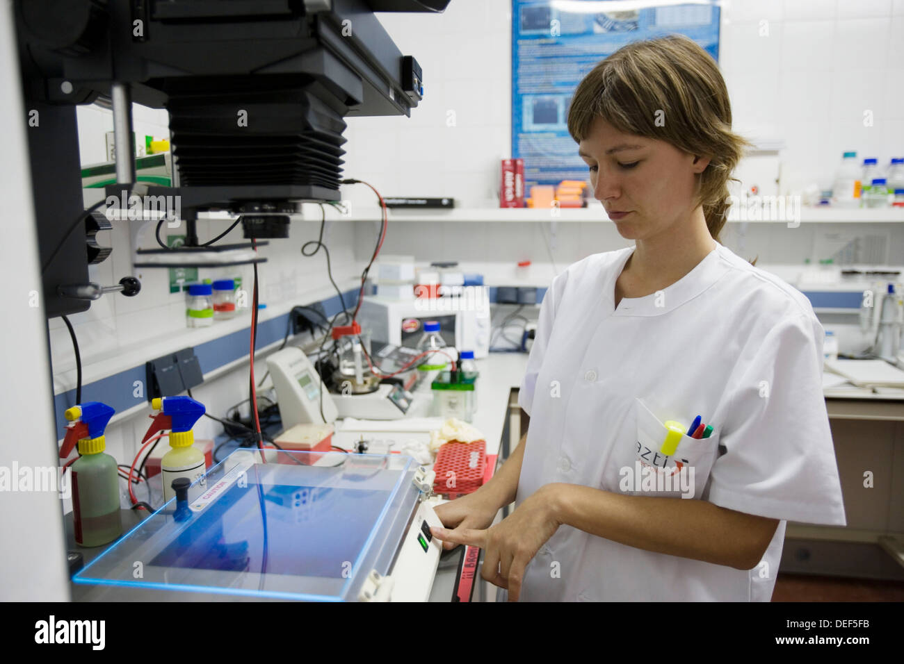 Molecular biology laboratory, Detection of pesticides in food (cereals) with the PCR technique. AZTI-Tecnalia. Technological Stock Photo