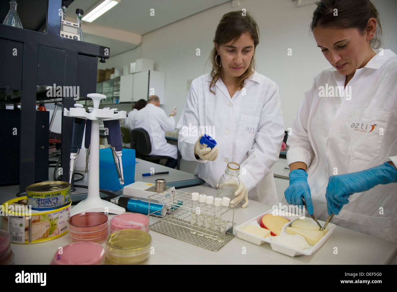 Microbiology laboratory. Microbiological tests of food, cheese Stock Photo 60569936 Alamy