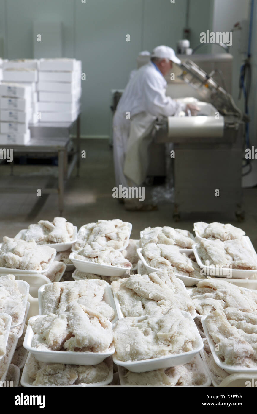 Manipulation of salt cod, refrigerated and frozen salt cod distribution
