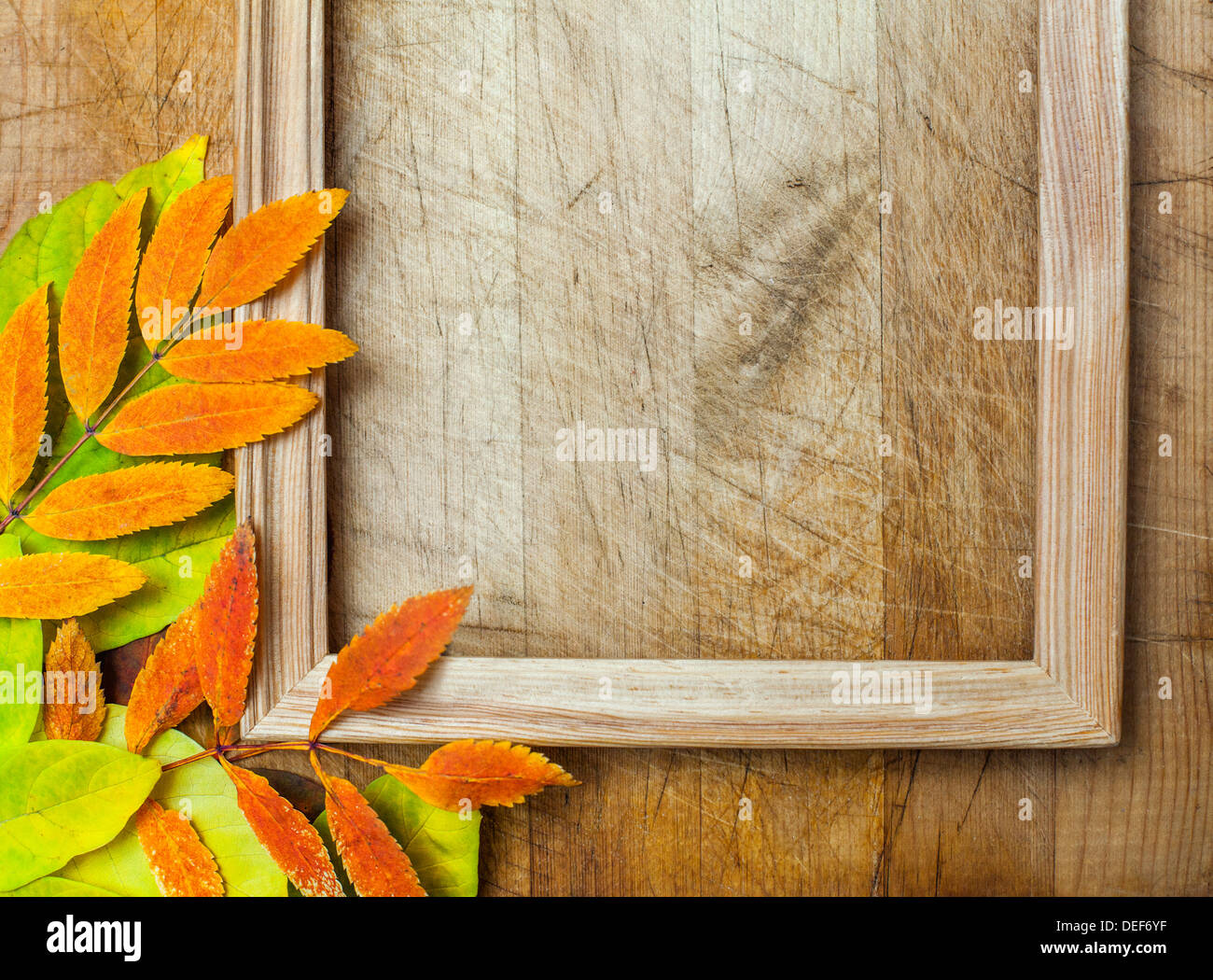 autumn leaves Stock Photo