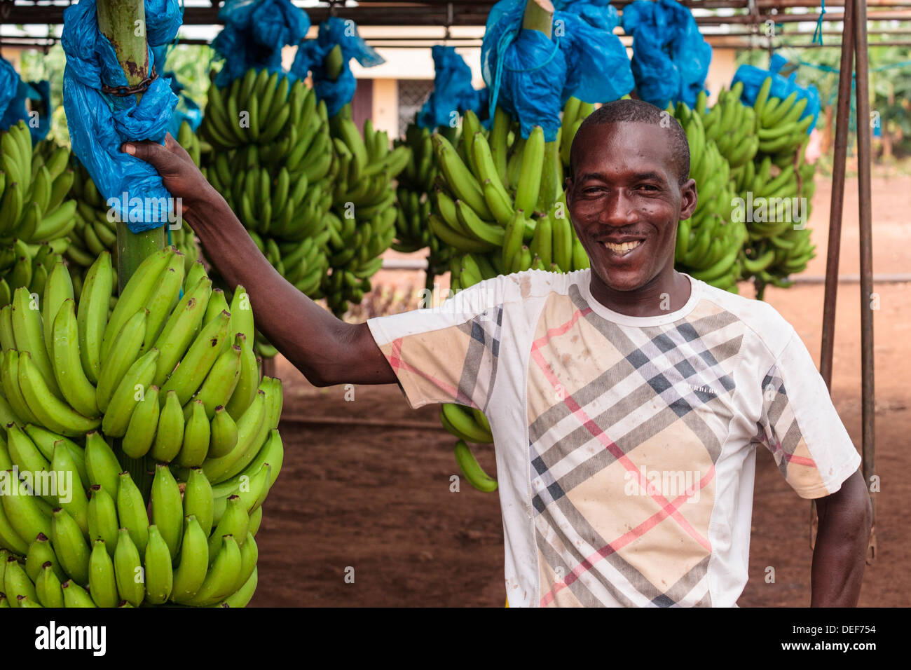 South africa fruit factory hires stock photography and images Alamy