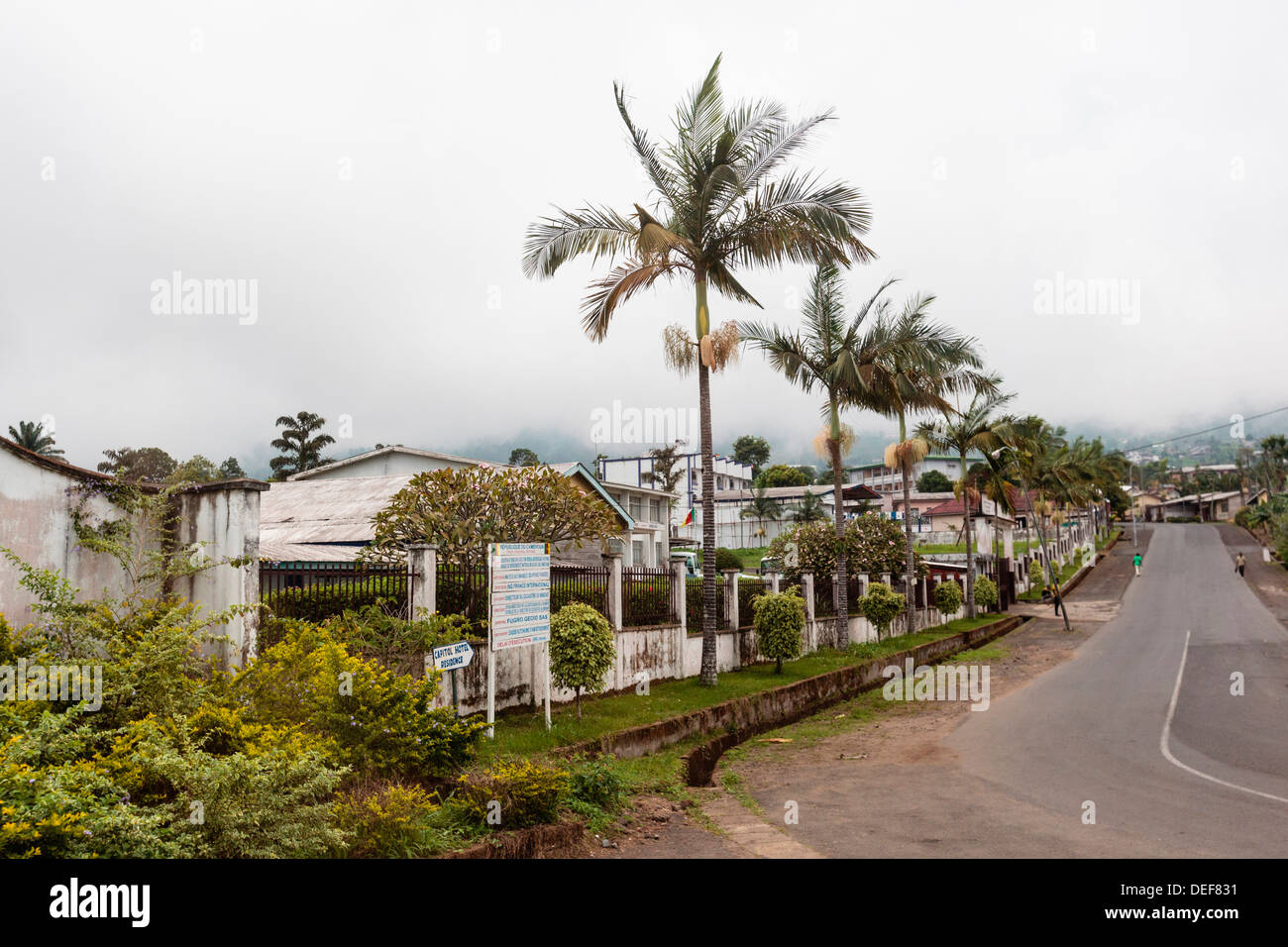 Africa, Cameroon, Limbe. View of palm trees along street Stock Photo