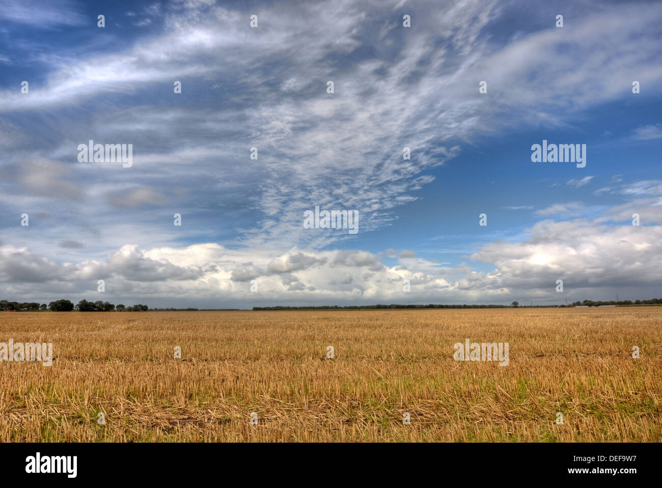 Field after harvest of wheat under a blue sky with clouds Stock Photo ...