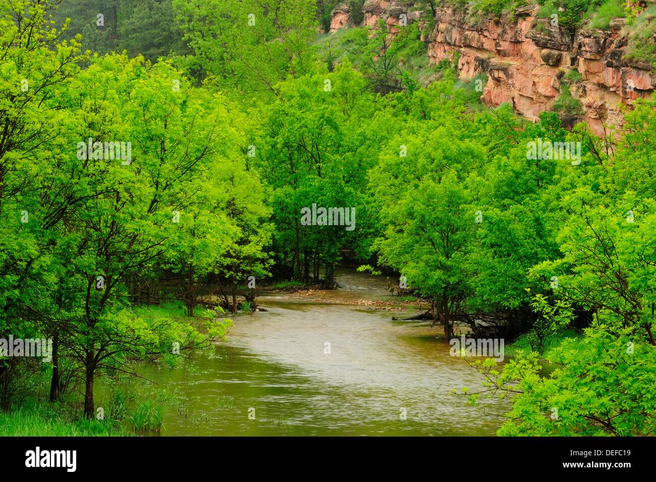 Box Elder Creek Stock Photo Alamy