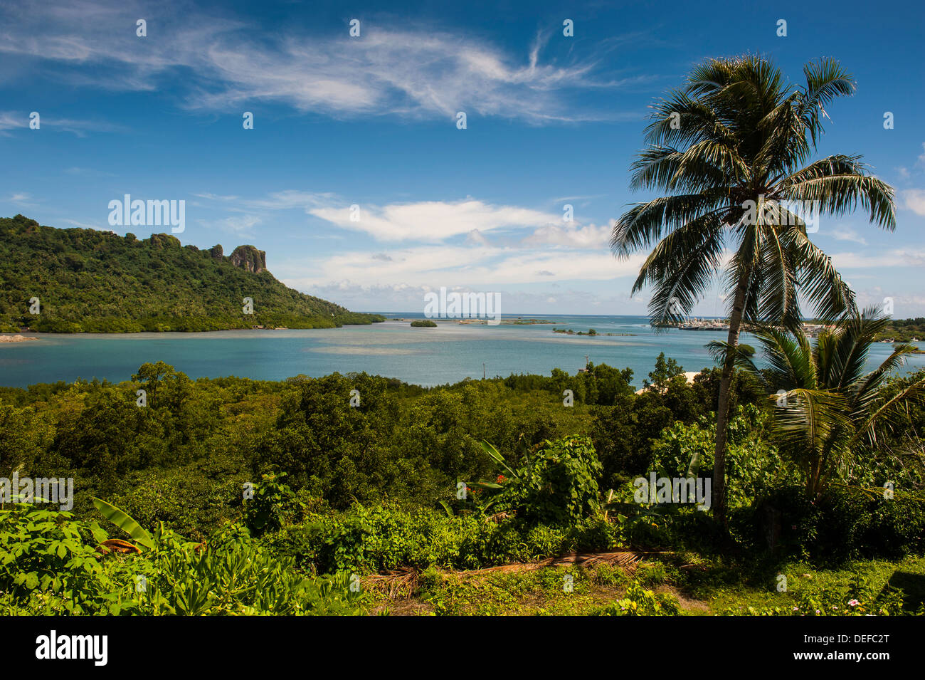 Lonely palm tree, Pohnpei (Ponape), Federated States of Micronesia, Caroline Islands, Central Pacific, Pacific Stock Photo