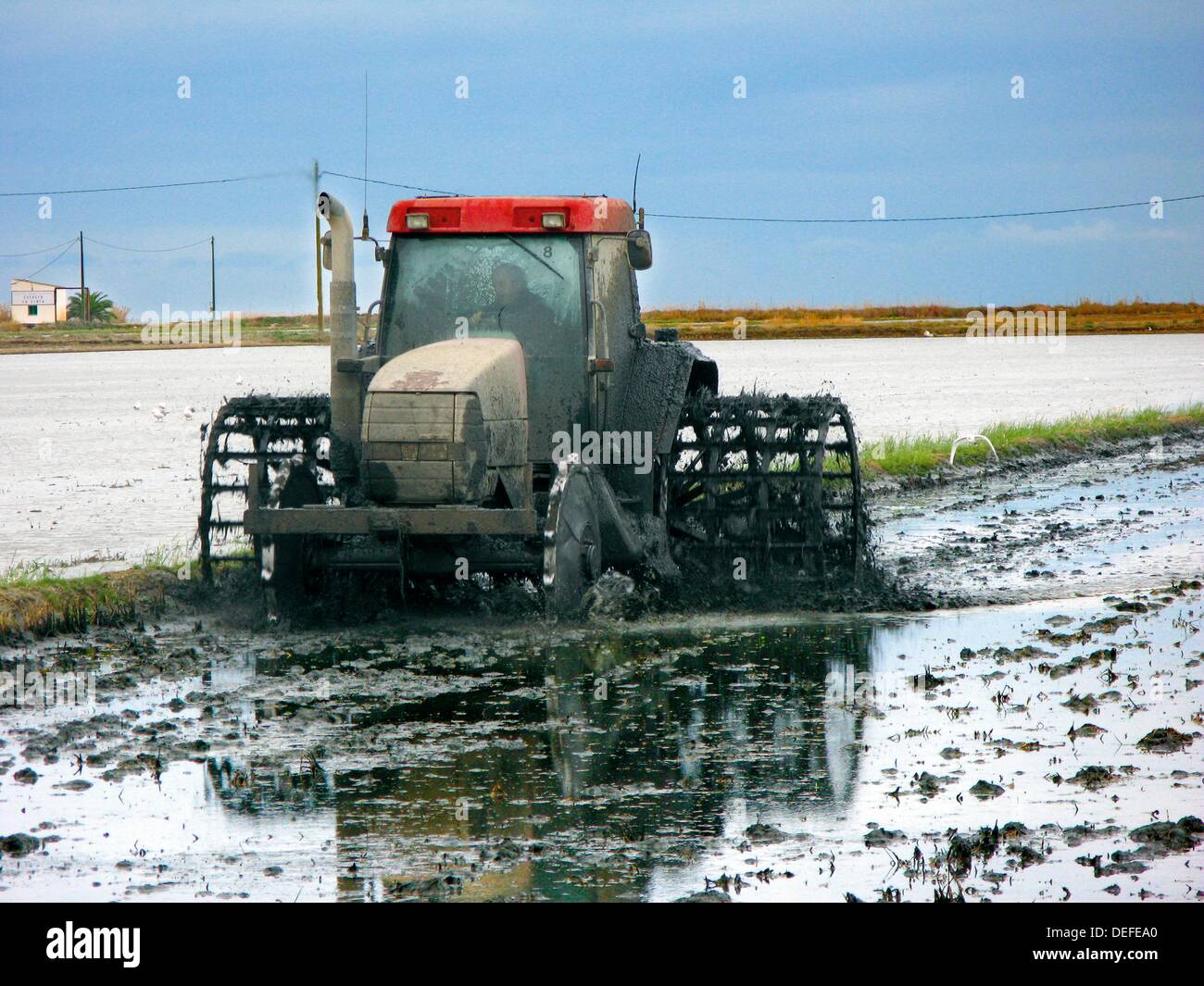 Tractor working the rice fields Stock Photo Alamy