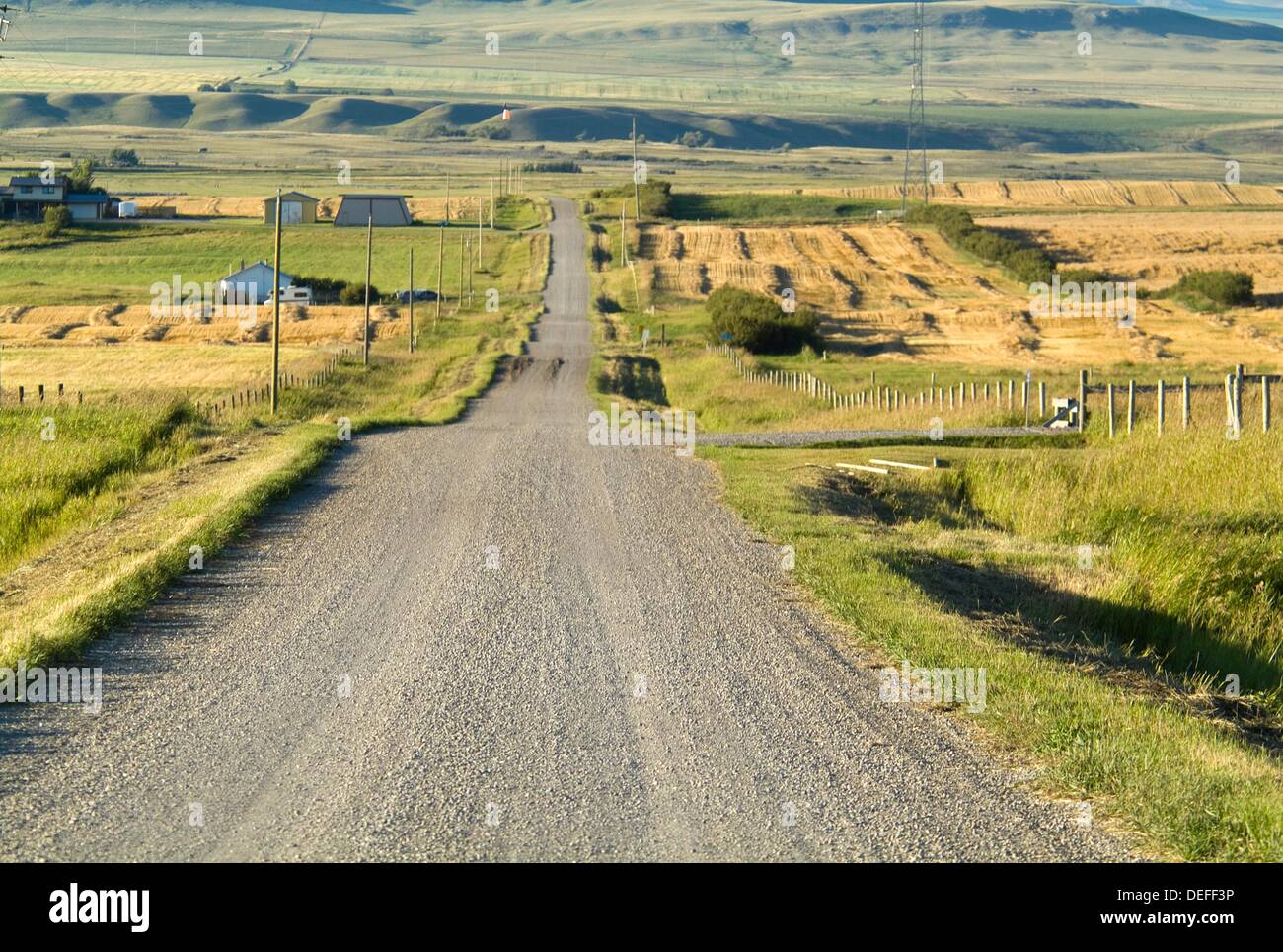 rural road through farmland in southern Alberta, Canada, near the town