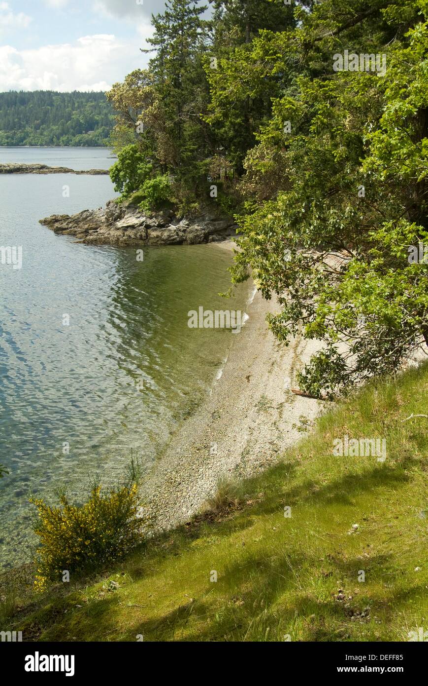 Beach on Salt Spring Island, British Columbia, Canada Stock Photo Alamy