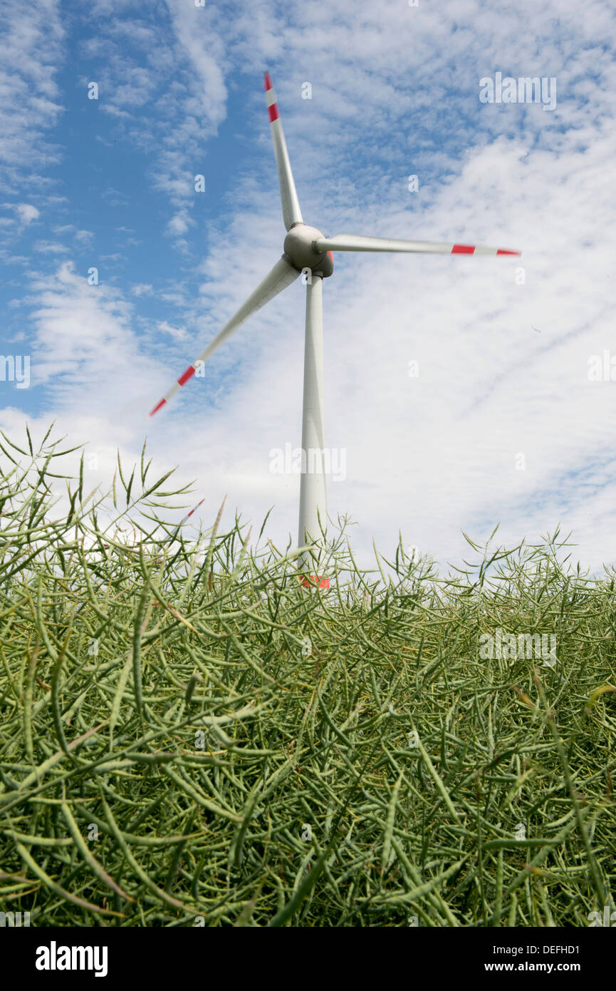Wind turbine, Thuringia, Germany Stock Photo