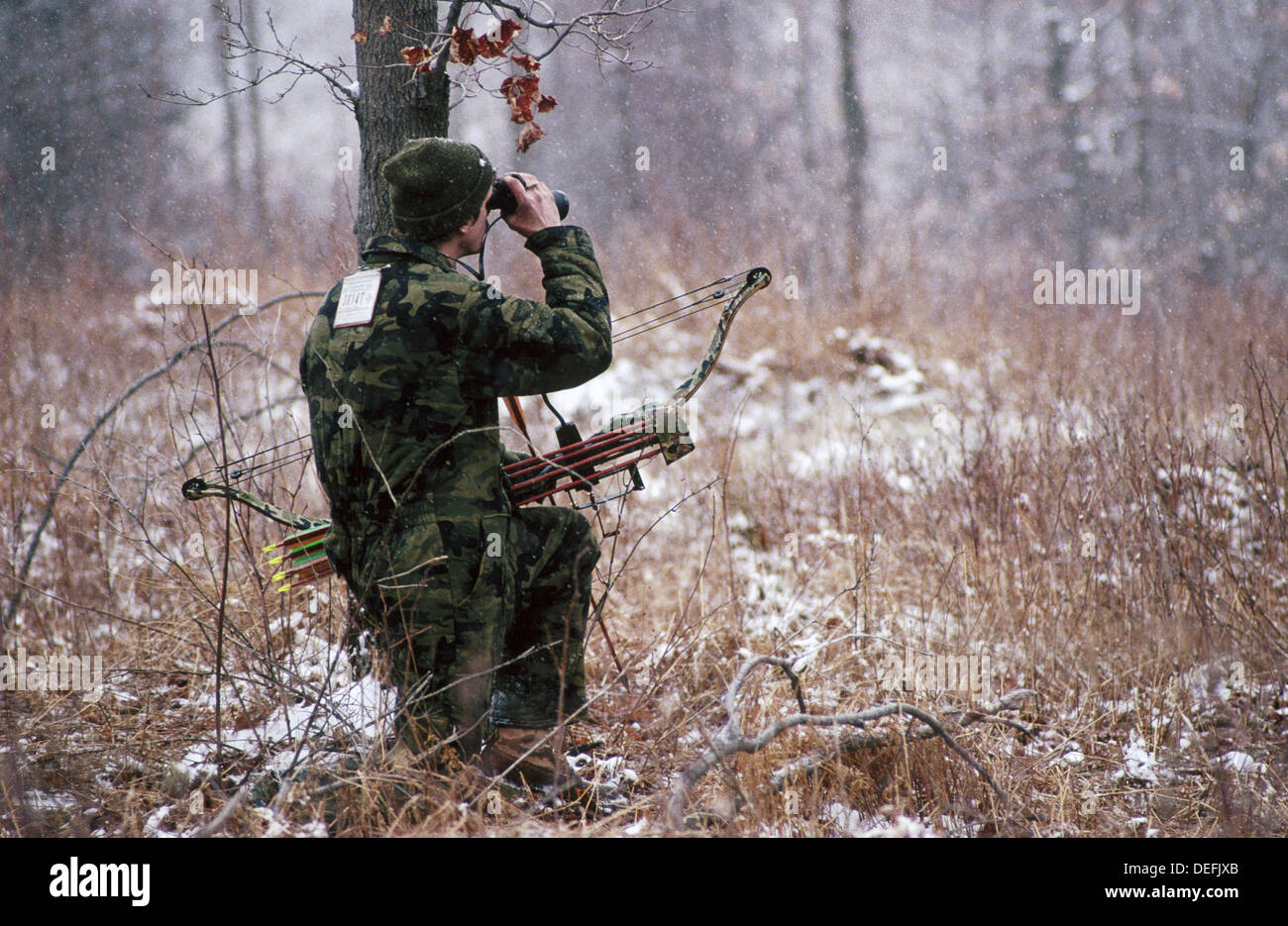 Bow hunting, big game Stock Photo Alamy