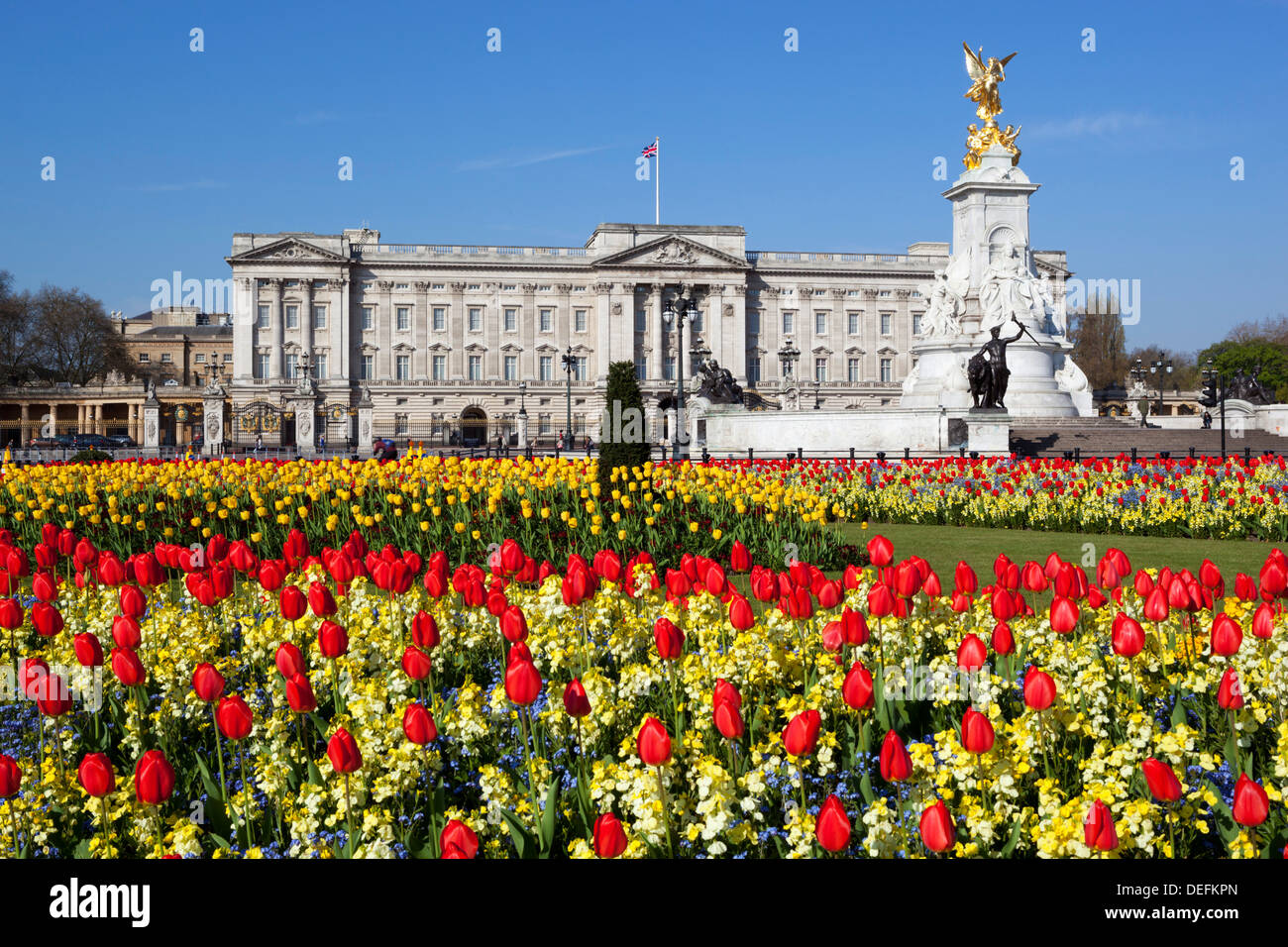Buckingham Palace and Queen Victoria Monument with tulips, London, England, United Kingdom, Europe Stock Photo
