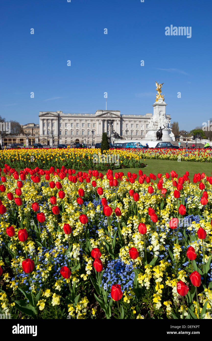 Buckingham Palace and Queen Victoria Monument with tulips, London, England, United Kingdom, Europe Stock Photo