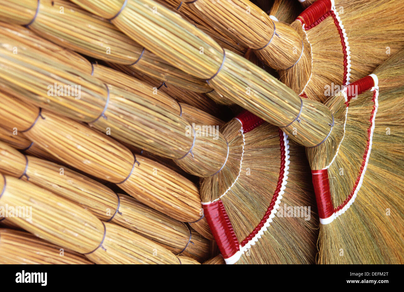 Philippine Broom High Resolution Stock Photography and Images - Alamy