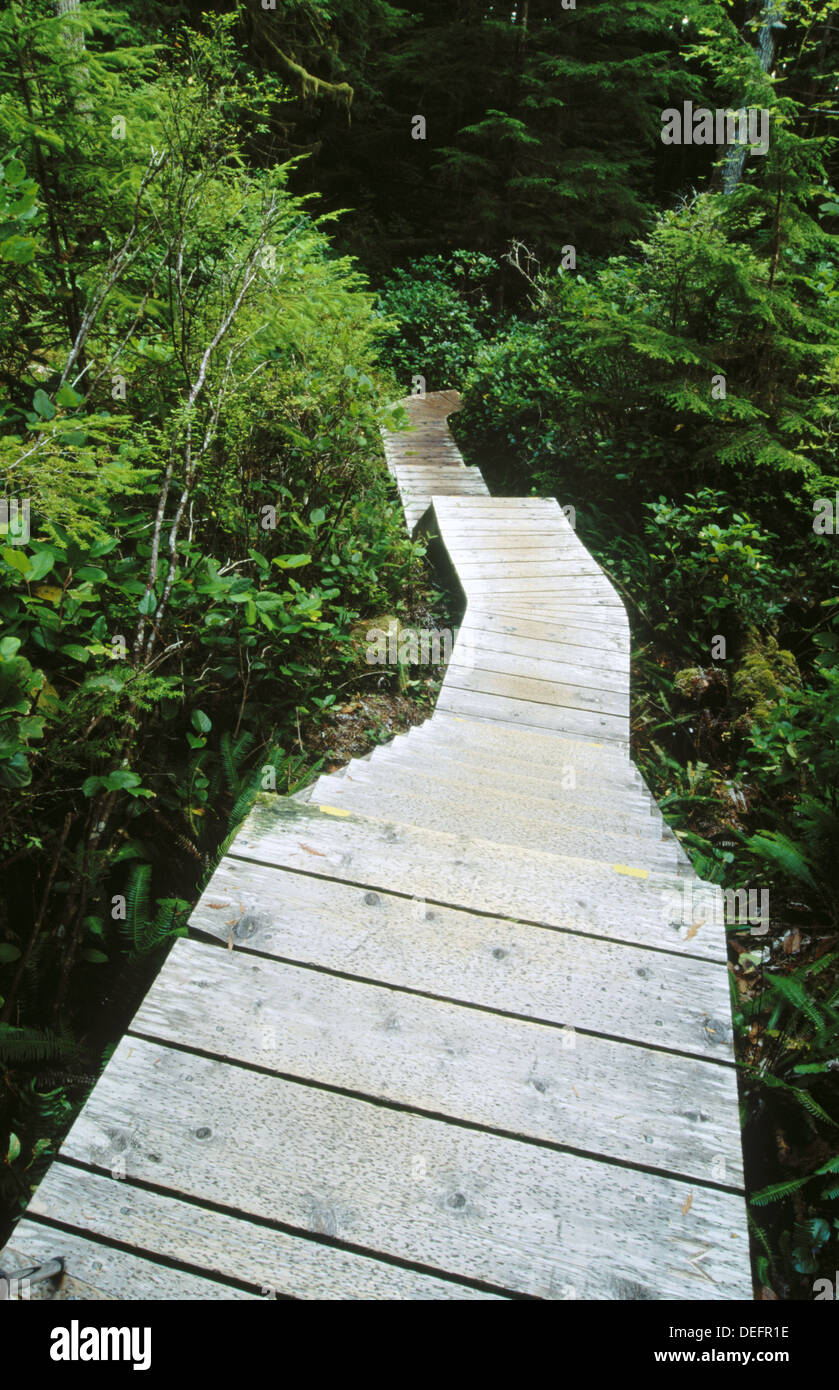 Boardwalk to Hot Spring Cove. Maquinna Provincial Marine Park. British