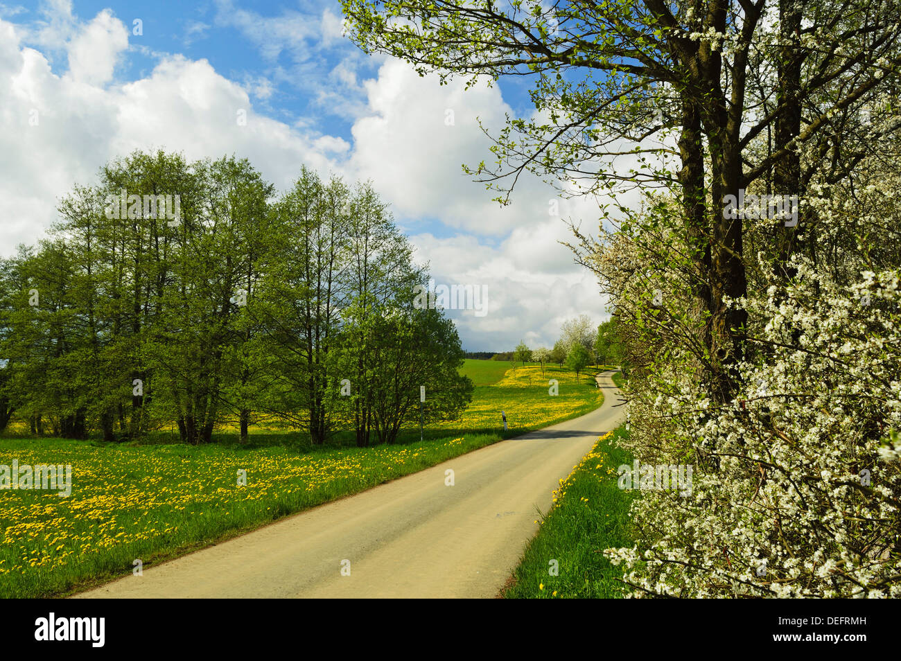 Rural scene in spring, Vogtland, Saxony, Germany, Europe Stock Photo
