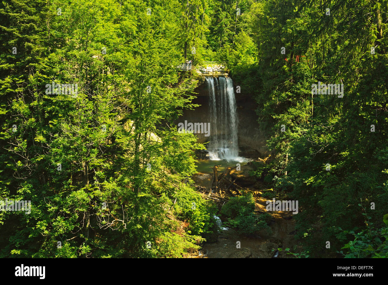 Scheidegg Waterfalls Nature Park, Scheidegg, Bavaria, Germany, Europe Stock Photo