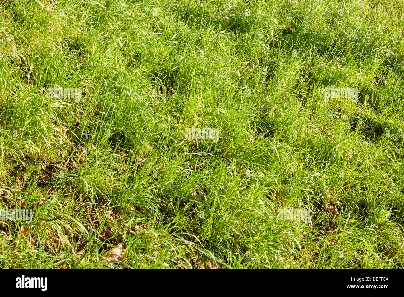 Uneven ground hires stock photography and images Alamy