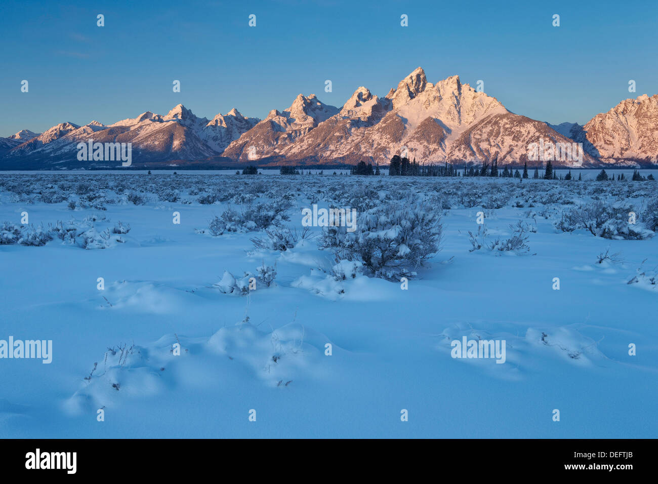 The Teton Range at first light after a fresh snow, Grand Teton National Park, Wyoming, United States of America, North America Stock Photo