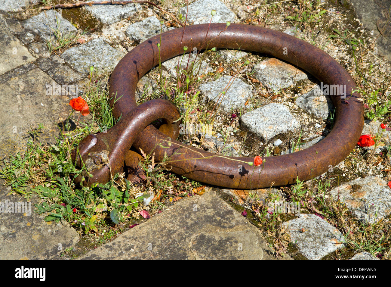 Mooring ring and flowers, Gloucester Historic Dock, Gloucestershire, England. Stock Photo