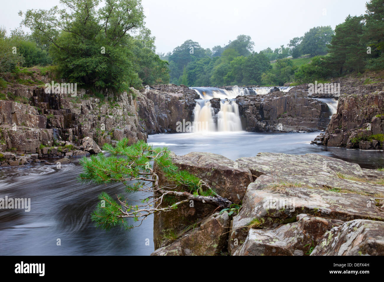 The River Tees at Low Force Upper Teesdale County Durham UK Stock Photo