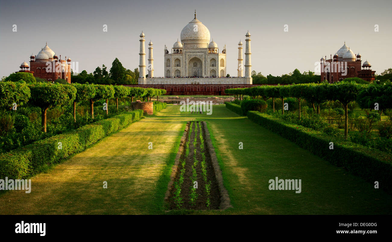 taj-mahal-india-garden-hi-res-stock-photography-and-images-alamy