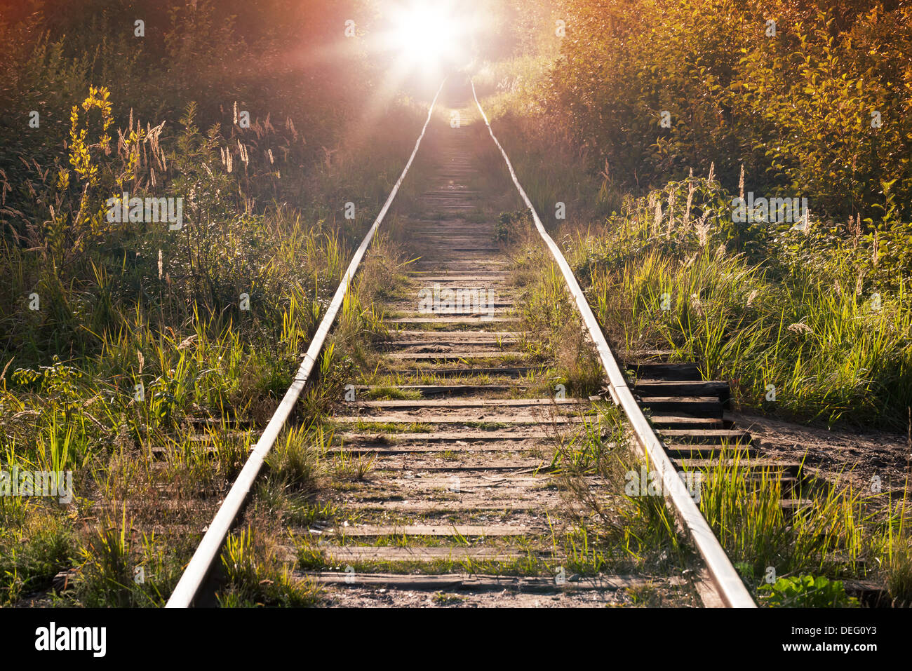 Summer rural railway perspective with shining sun in the end Stock Photo