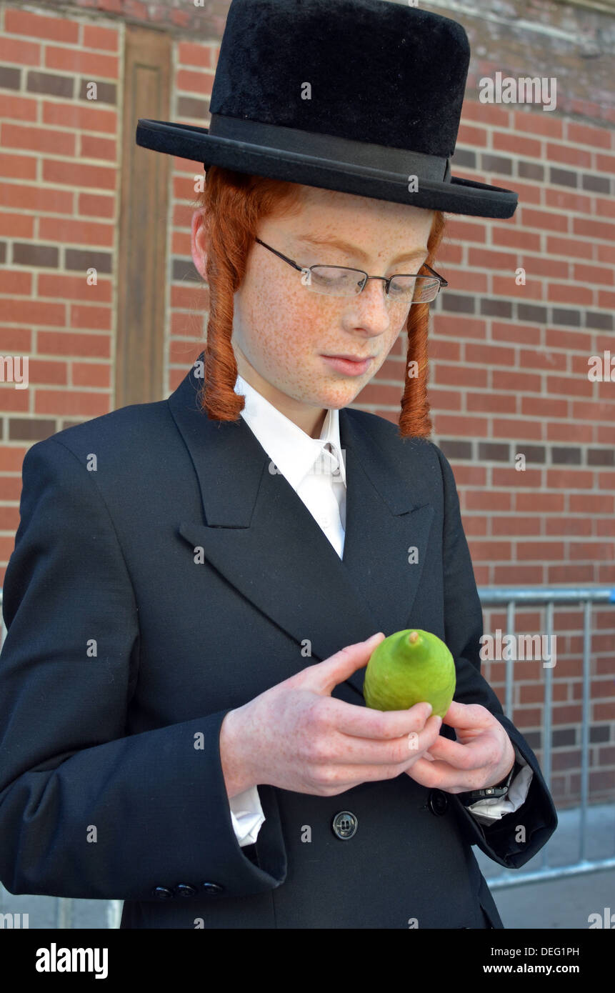 Mange skade forord Orthodox religious Jewish boy with red hair & sidelocks examines an esrog  for the Sukkot holiday. In Crown Heights, Brooklyn, NY Stock Photo - Alamy
