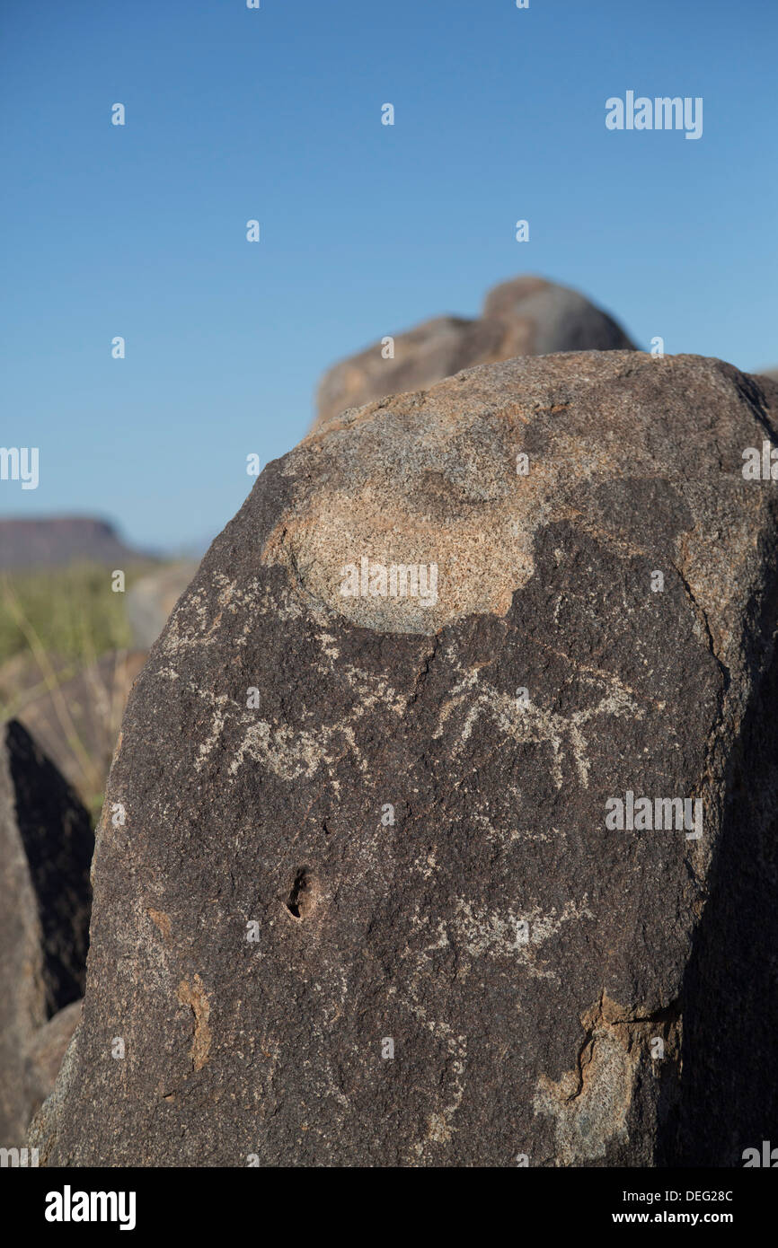 Petroglyphs created by the prehistoric Hohokam people about 1000 years ago West-Tucson Mountain District Saguaro National Park Stock Photo