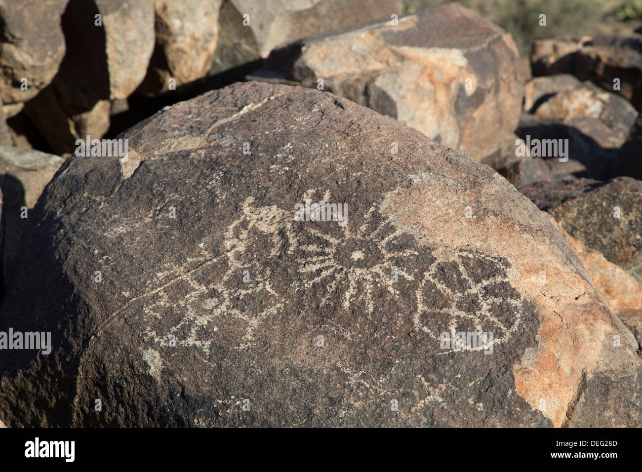 Petroglyphs, created by the prehistoric Hohokam people, West-Tucson Mountain District, Saguaro National Park, Arizona, USA Stock Photo