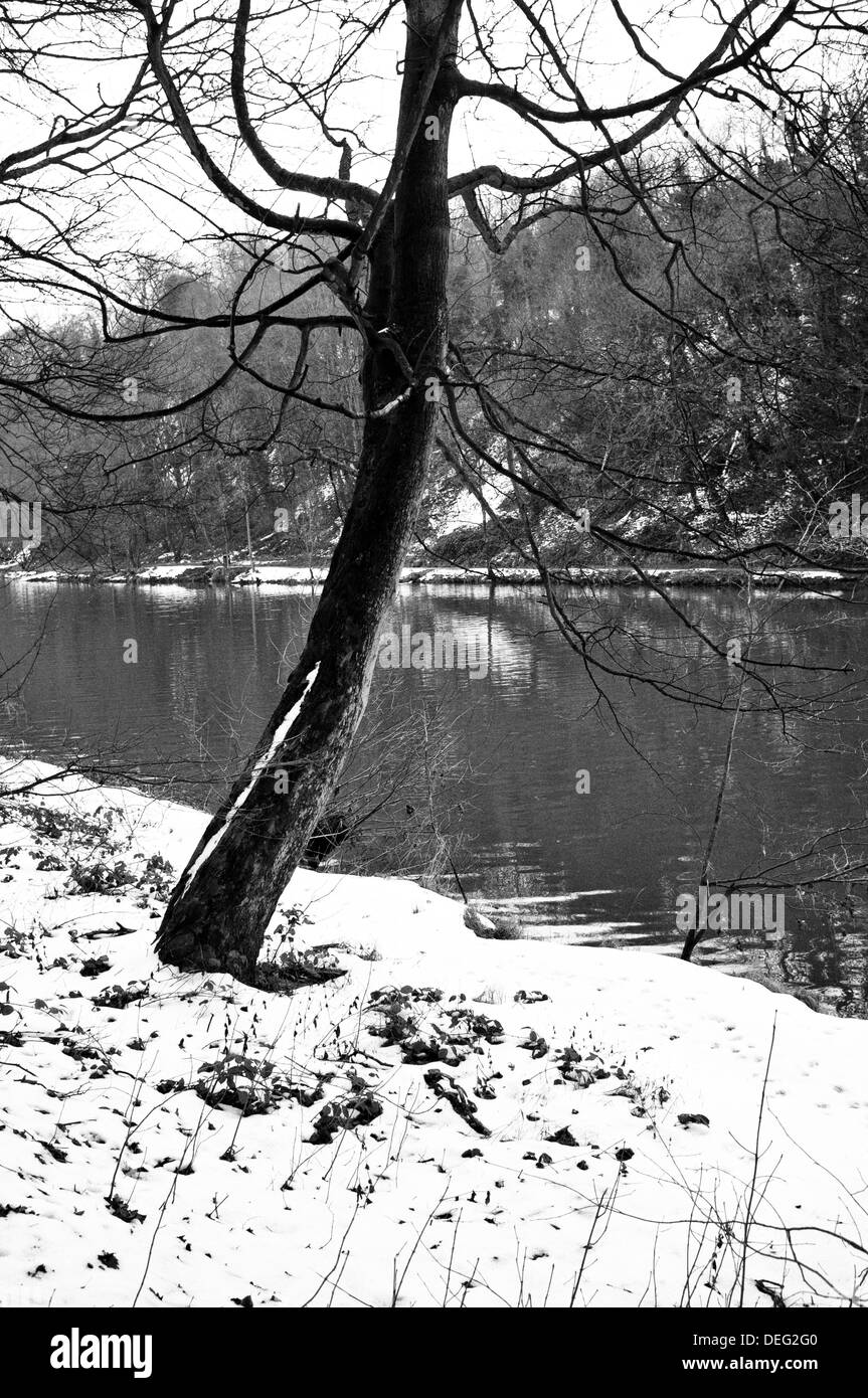 Snowy Footpath along the River Wear in Durham, England. WInter 2012/13. Stock Photo