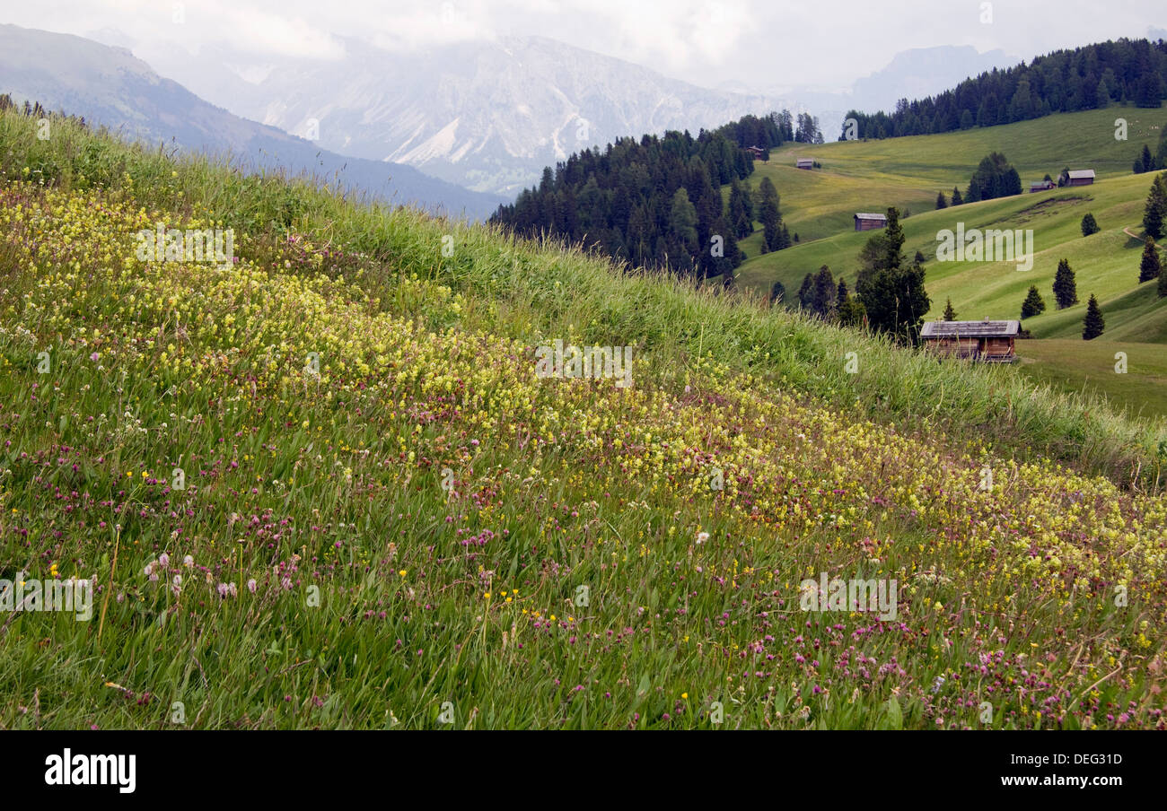 Hiking in the Dolomites Alps Italy Stock Photo - Alamy