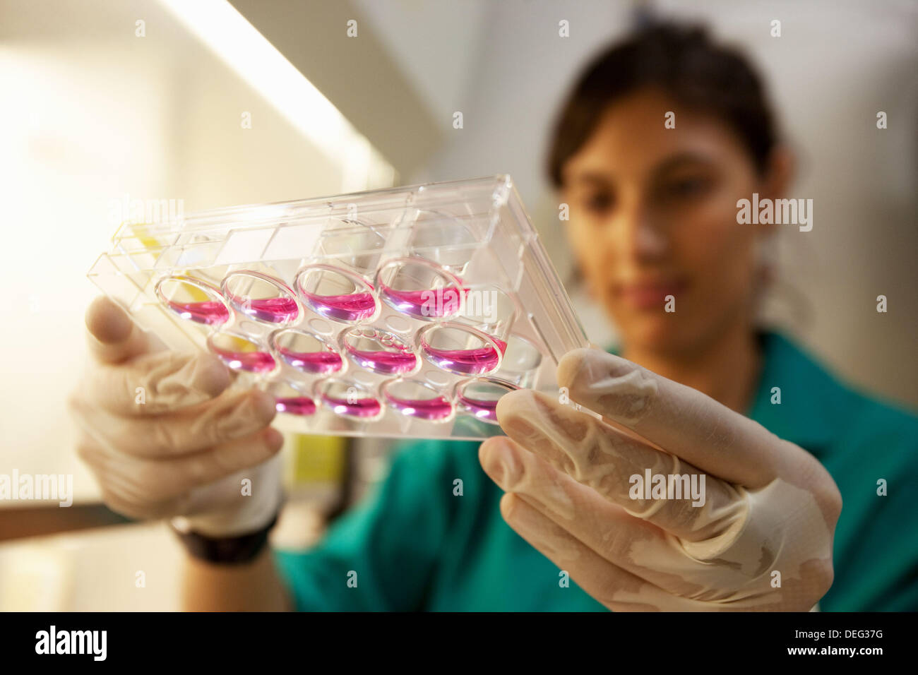 Department of Cell Death and Proliferation, IIBB - Institute for Biomedical Research of Barcelona, CSIC - Consejo Superior de Stock Photo