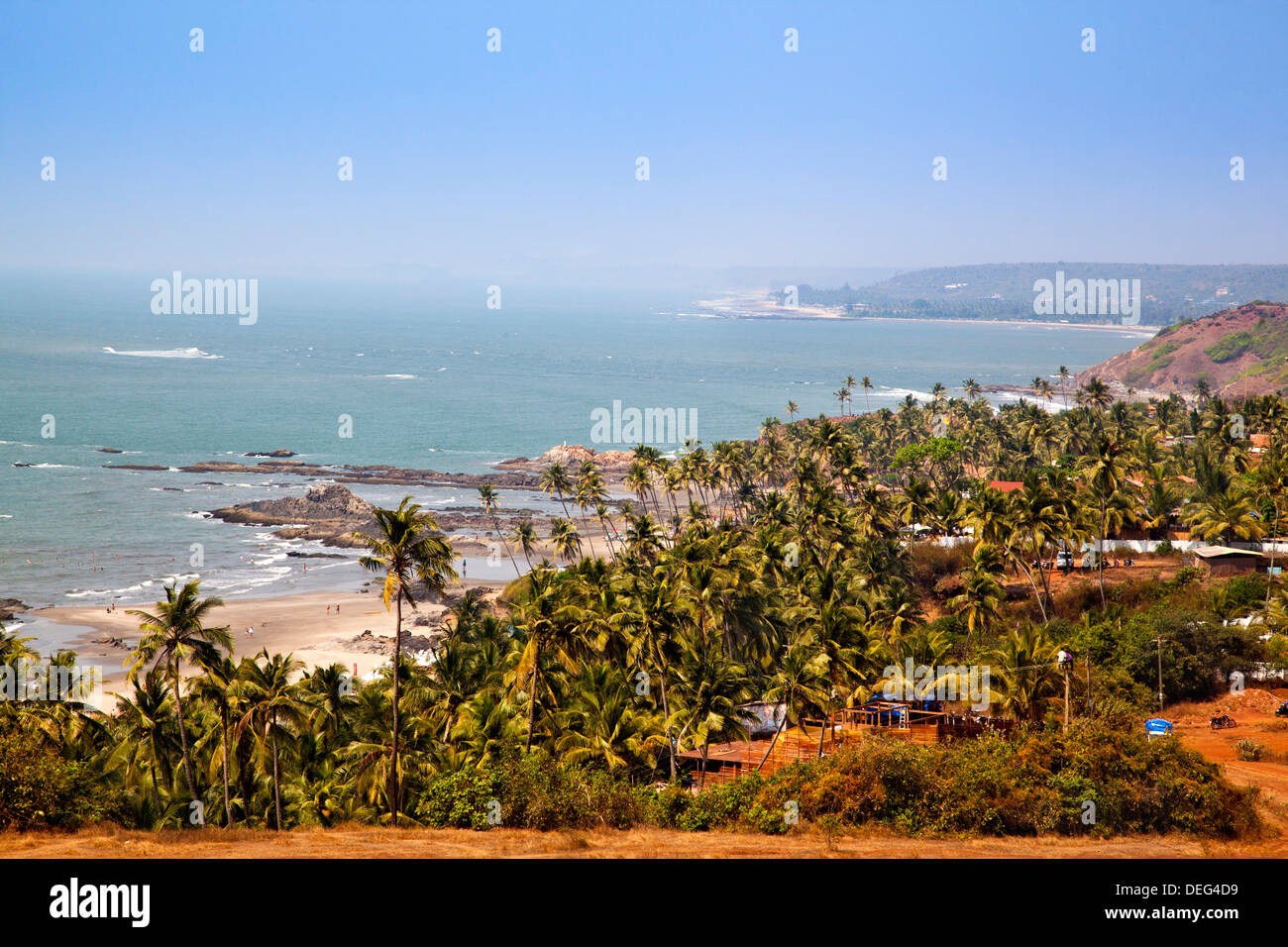 Palm Trees on the beach, Vagator, Bardez, North Goa, Goa, India Stock Photo