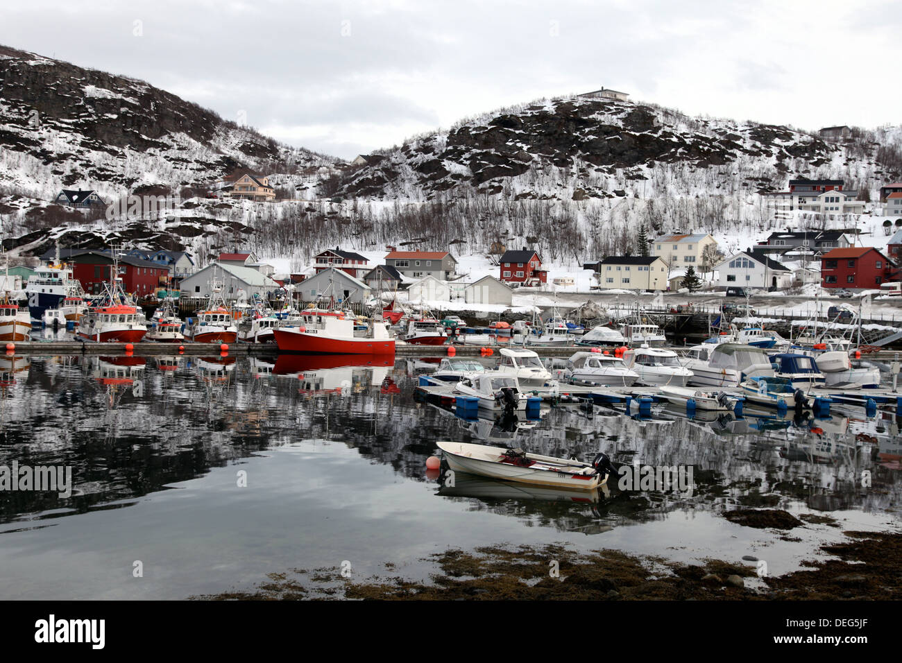 Fishing boats in the harbour at Skjervoy, Troms, Norway, Scandinavia, Europe Stock Photo