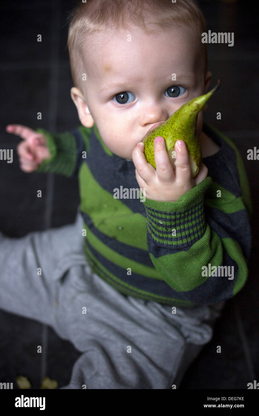 toddler eating a pear,child, eat, toddler, health, snack, fruit, boy