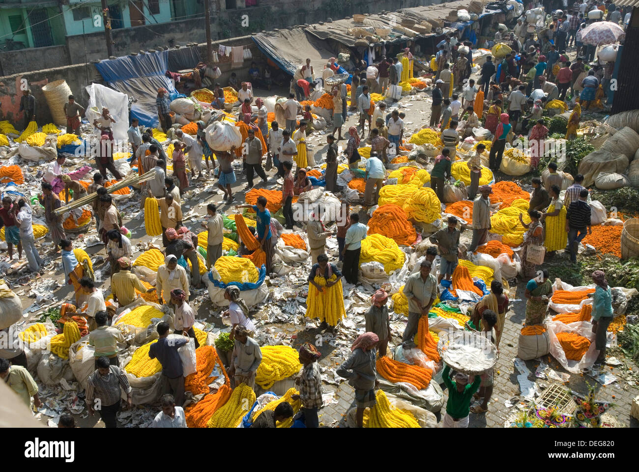 Armenia Ghat flower market, Kolkata (Calcutta), West Bengal, India, Asia Stock Photo