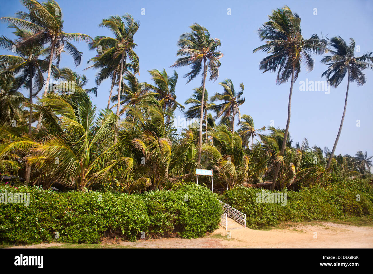Entrance of a resort with palm trees on the beach, La Plage, Morjim