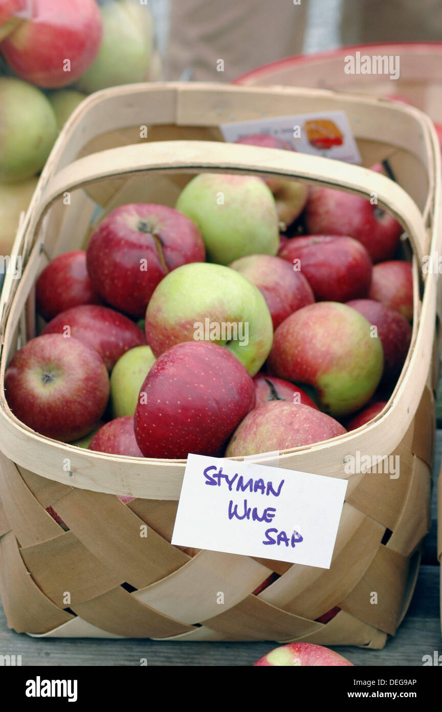 Stayman Winesap apples for sale at apple festival in Ellijay north