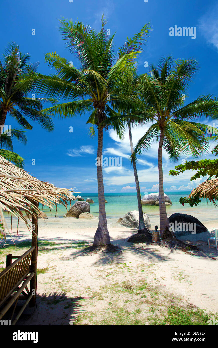 Palm trees and Lamai Beach, Koh Samui, Thailand, Southeast Asia, Asia Stock Photo