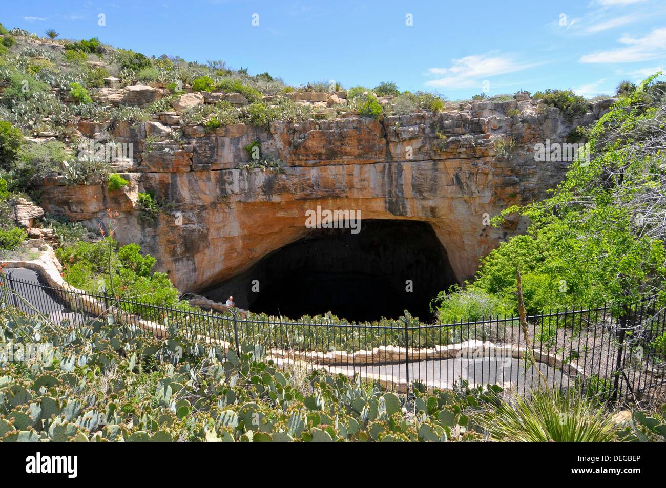 Carlsbad caverns bat hires stock photography and images Alamy