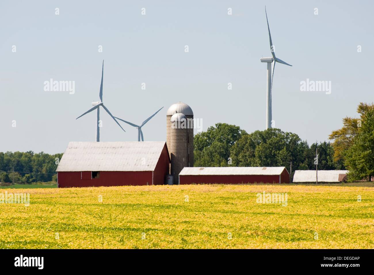 Agricultural Wind Farm farms turbine produces energy in wind into mechanical energy