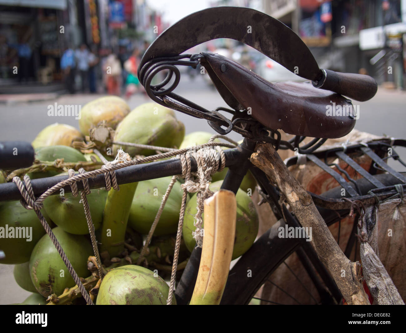 A machete and a group of coconuts sit inside a bicycle in Bangalore