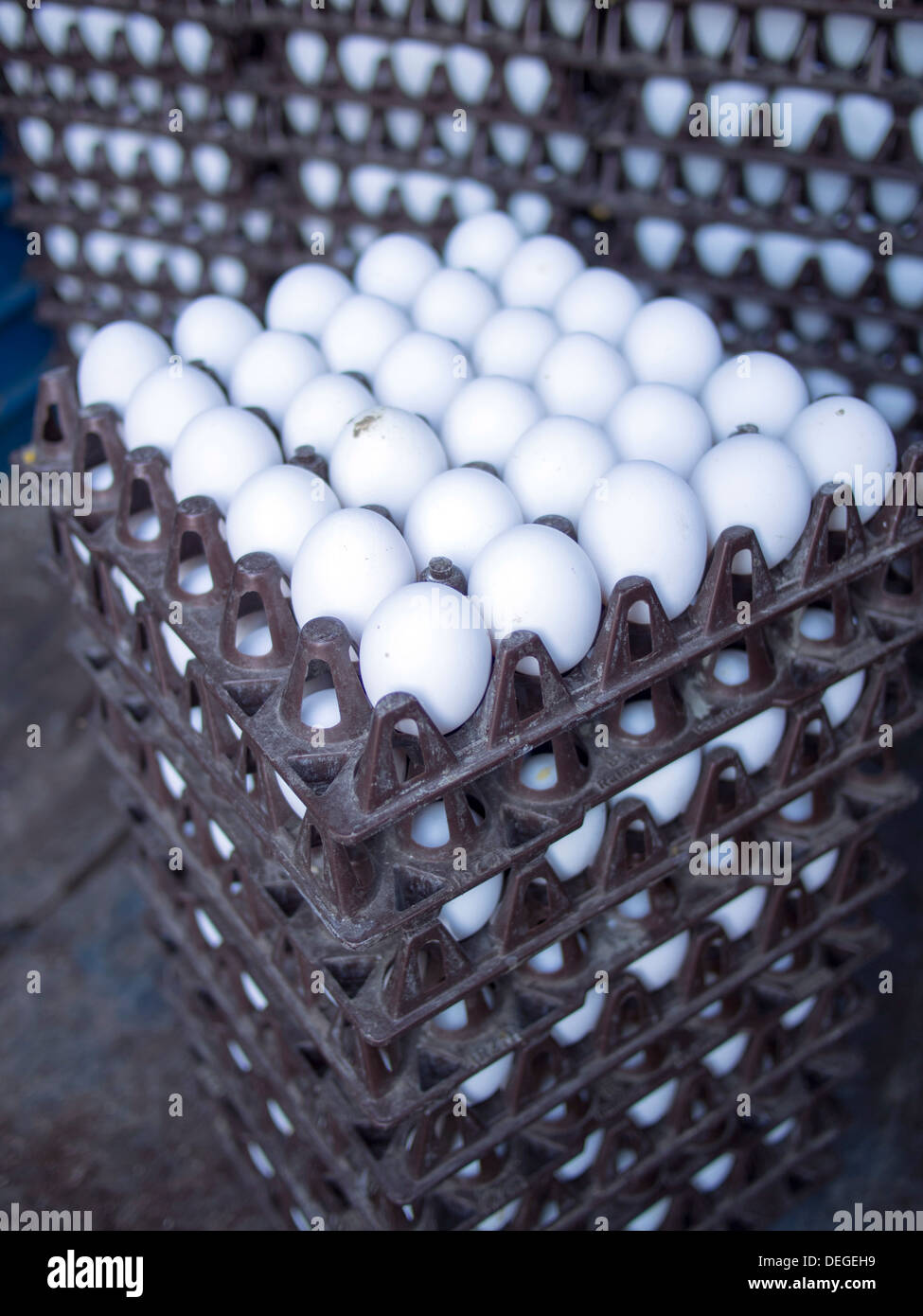Eggs get stacked in crates in Bangalore, Karnataka, India. Stock Photo