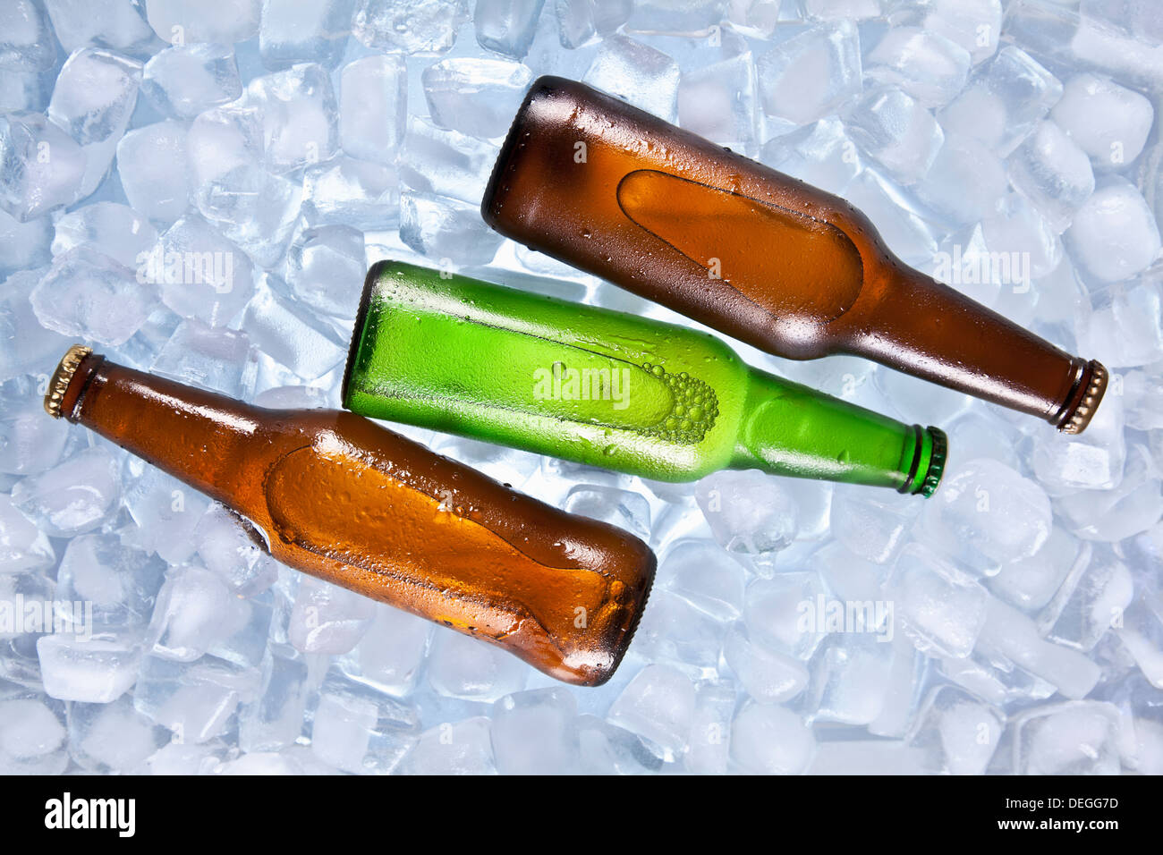 Three bottles of beer cooling on ice Stock Photo Alamy