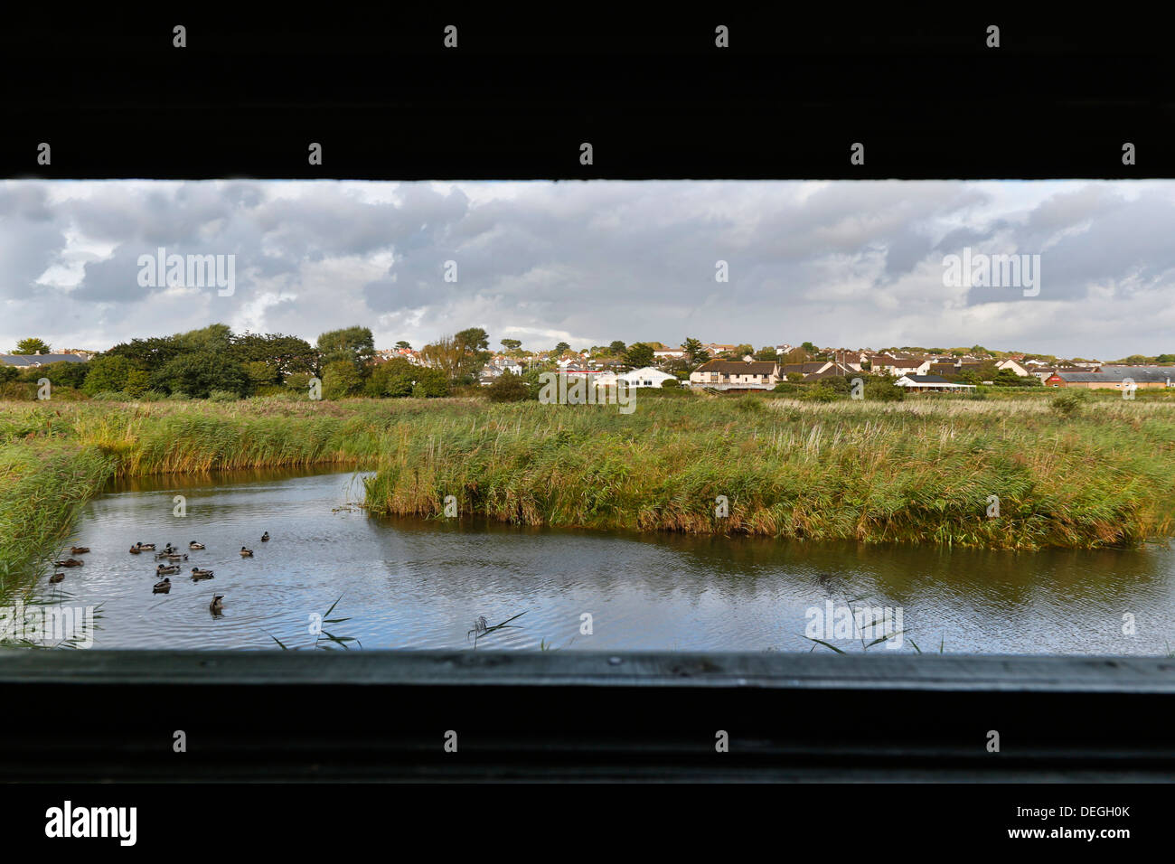 Bude Marshes and Canal from the Bird Hide; Cornwall; UK Stock Photo