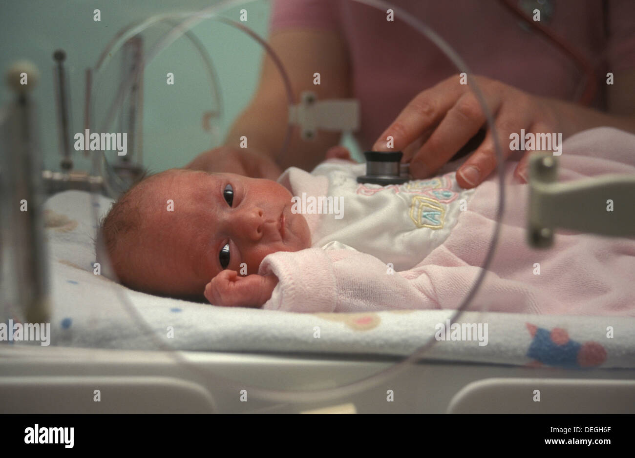 nurse checking heartbeat of premature baby in incubator Stock Photo Alamy