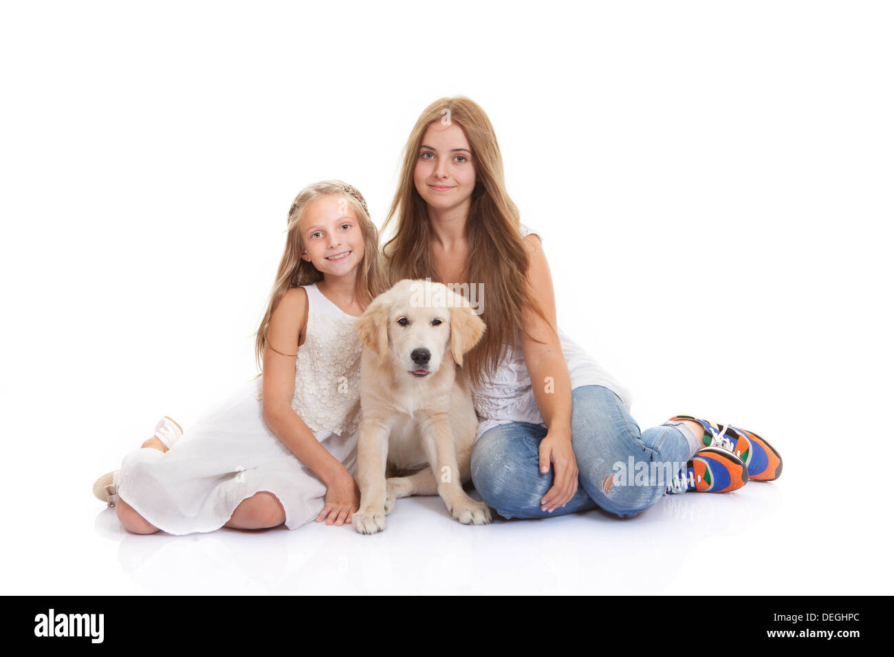 labrador as family pet